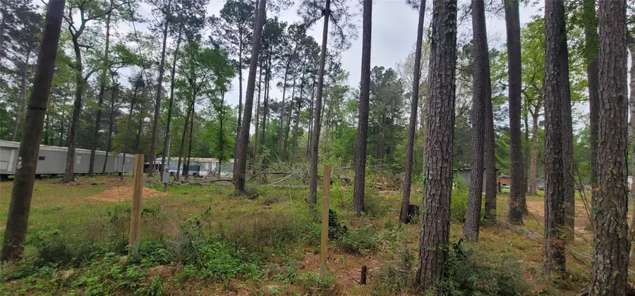 451 N Higgins, Shepherd, TX 77371 - #3