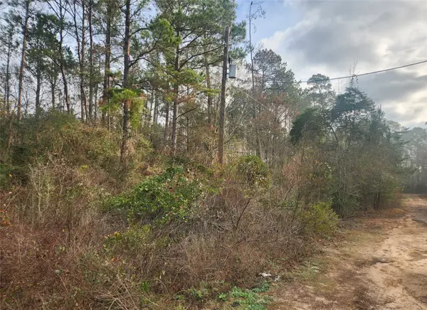 Lot 8 Yupon Lane, Plantersville, TX 77363