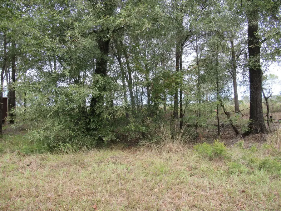 TBD Vine Arbor, Livingston, TX 77351 - Image #2