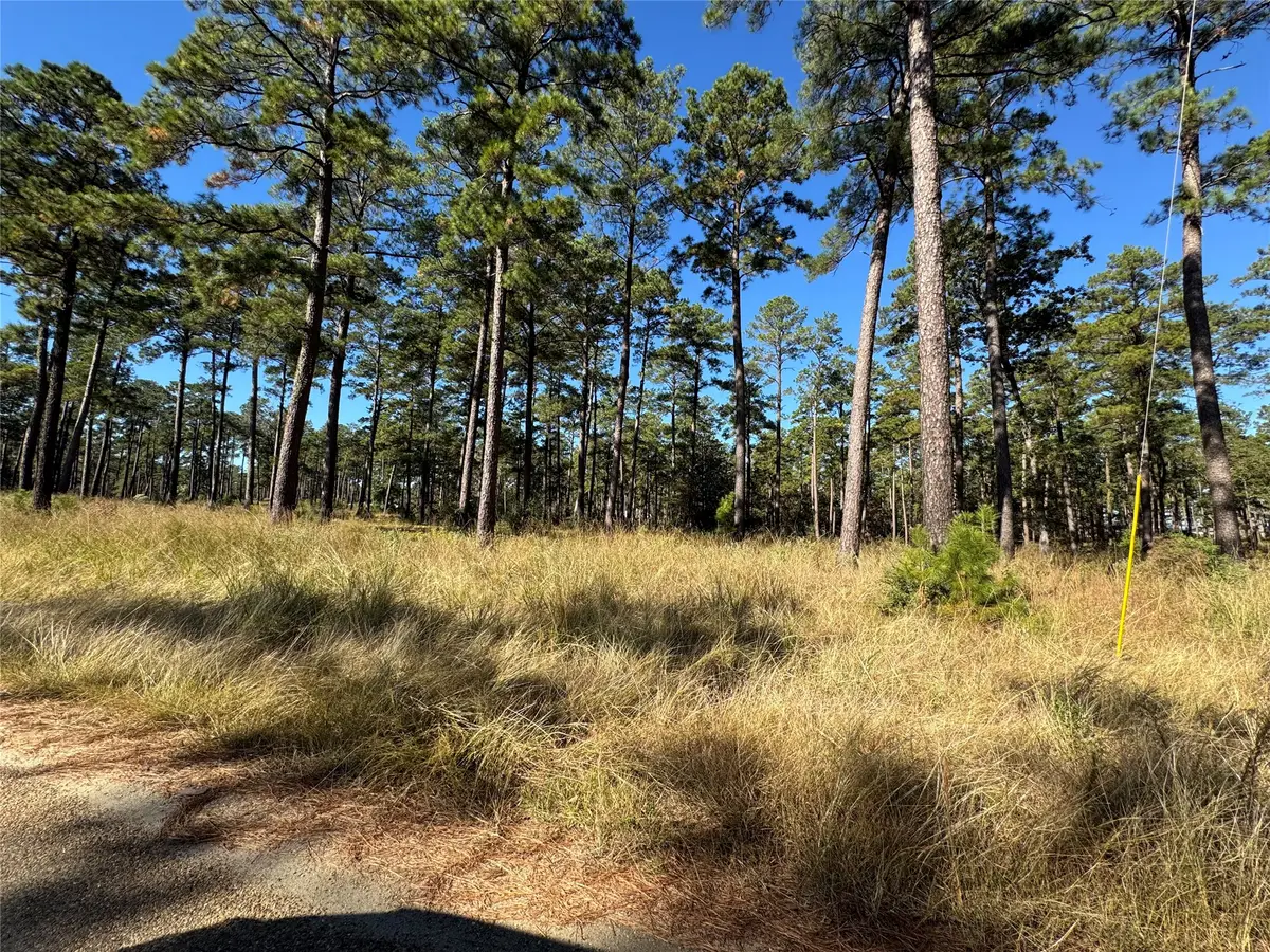063 Private Road 6026, Brookeland, TX 75931 - #1