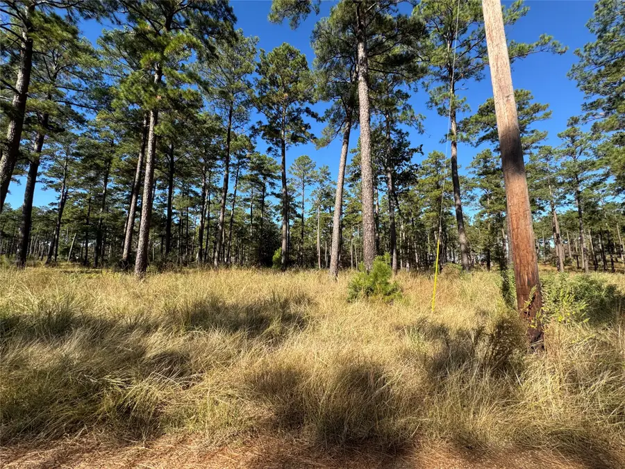 063 Private Road 6026, Brookeland, TX 75931 - #3