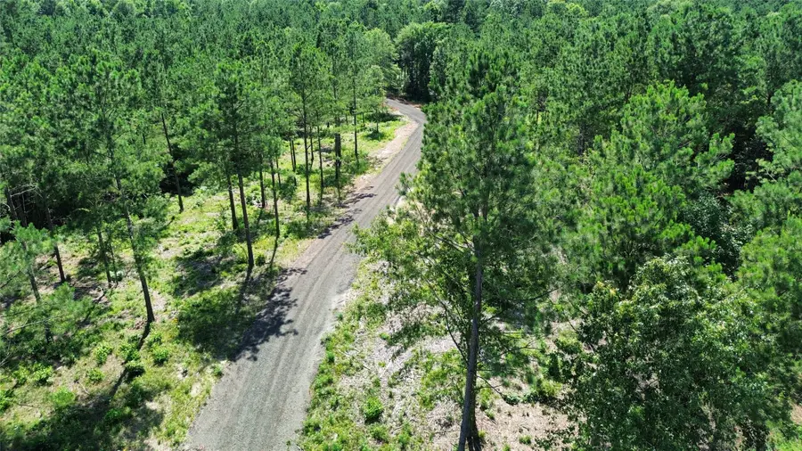 540 Piney Creek Estates Rd, Timpson, TX 75975 - #3