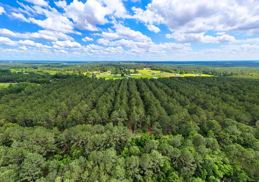 TBD Private Road 5170, Kirbyville, TX 75956 - #2