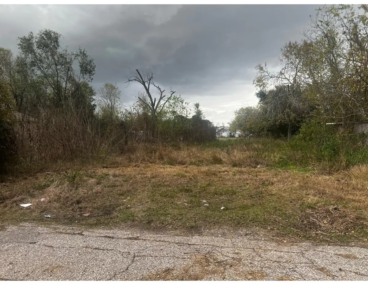 1814 Chase Street, Houston, TX 77026 - #1