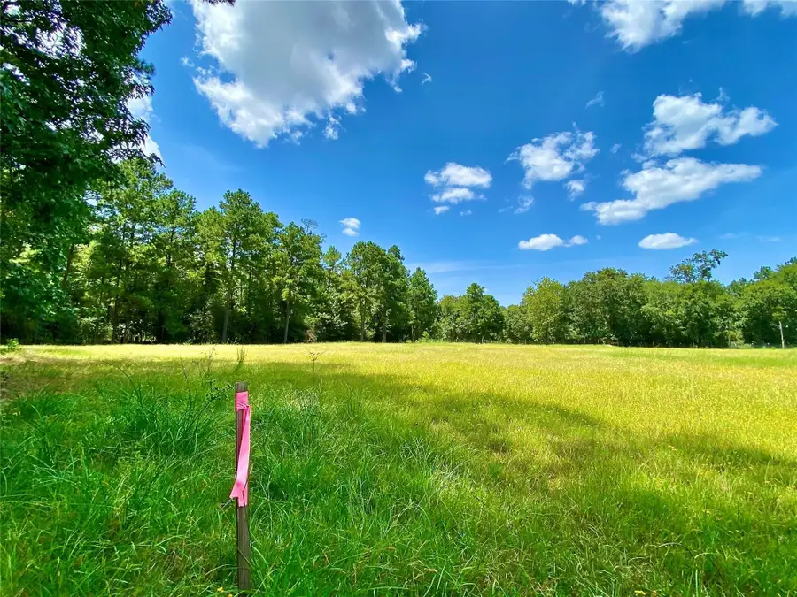 14109 Horseshoe Bend, Conroe, TX 77384 - Image #2