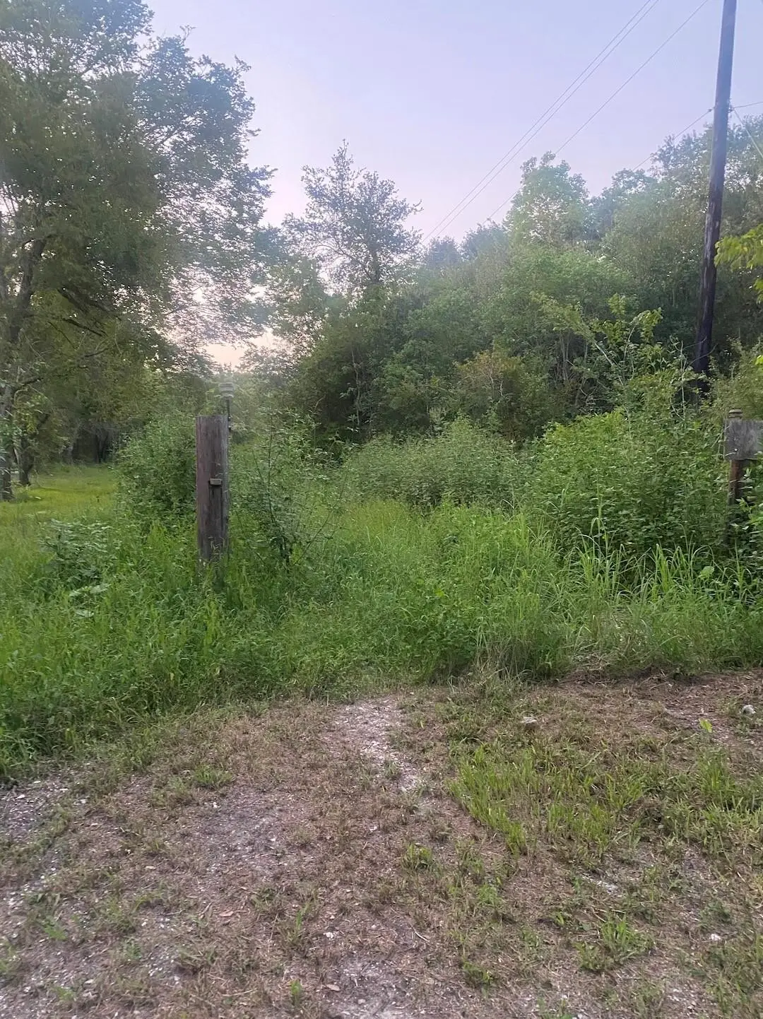 114 Black Bass Drive, Danbury, TX 77534 - #1