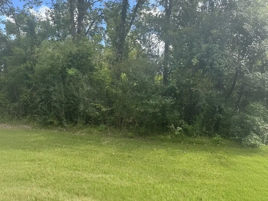 TBD Riverview Drive, Coldspring, TX 77331 - #3