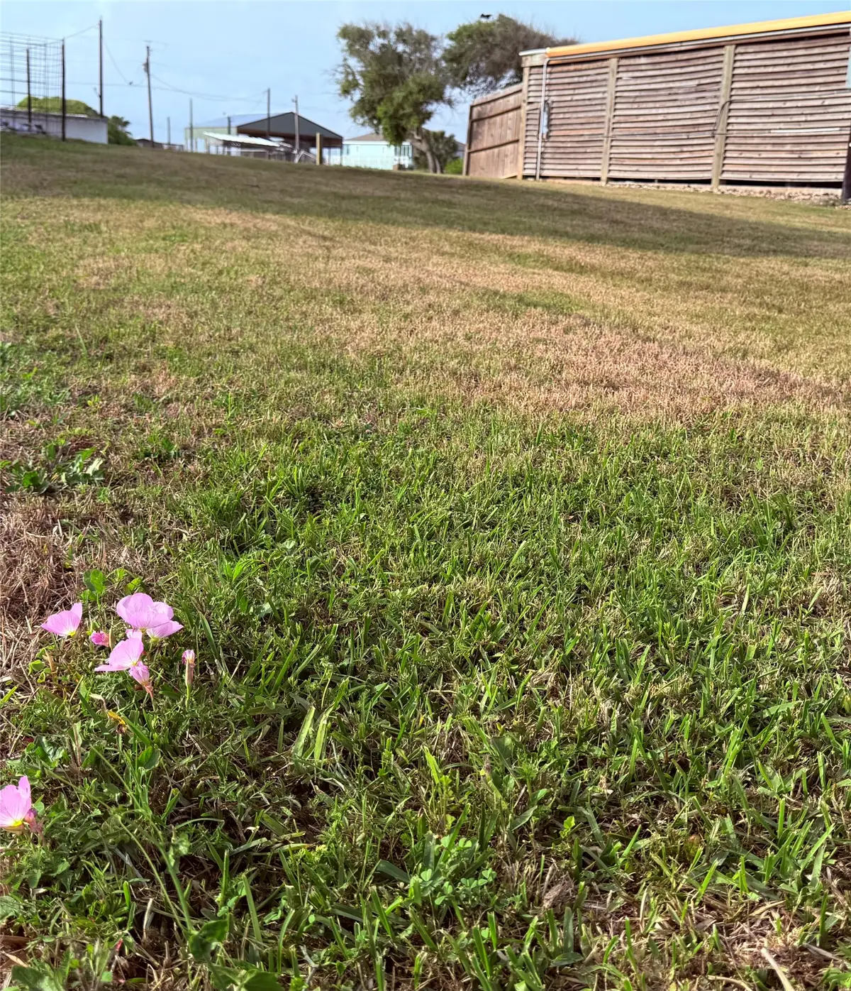 1222 County Road 204, Sargent, TX 77414 - #1