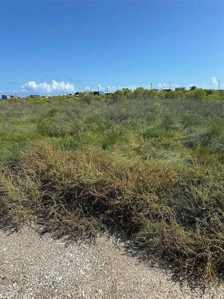 15388 Titanic Burgs, Sargent, TX 77414 - #3