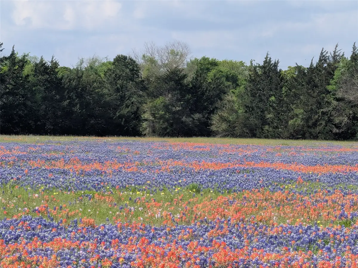 0010 Fm 2562 Road, Anderson, TX 77830 - #1