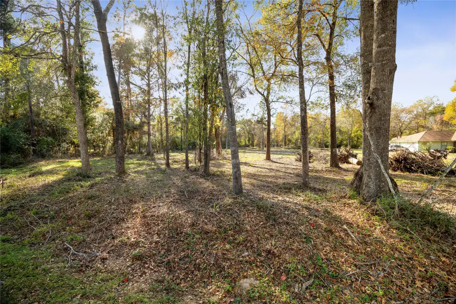 1697 O' Daniel, Conroe, TX 77301 - Image #3