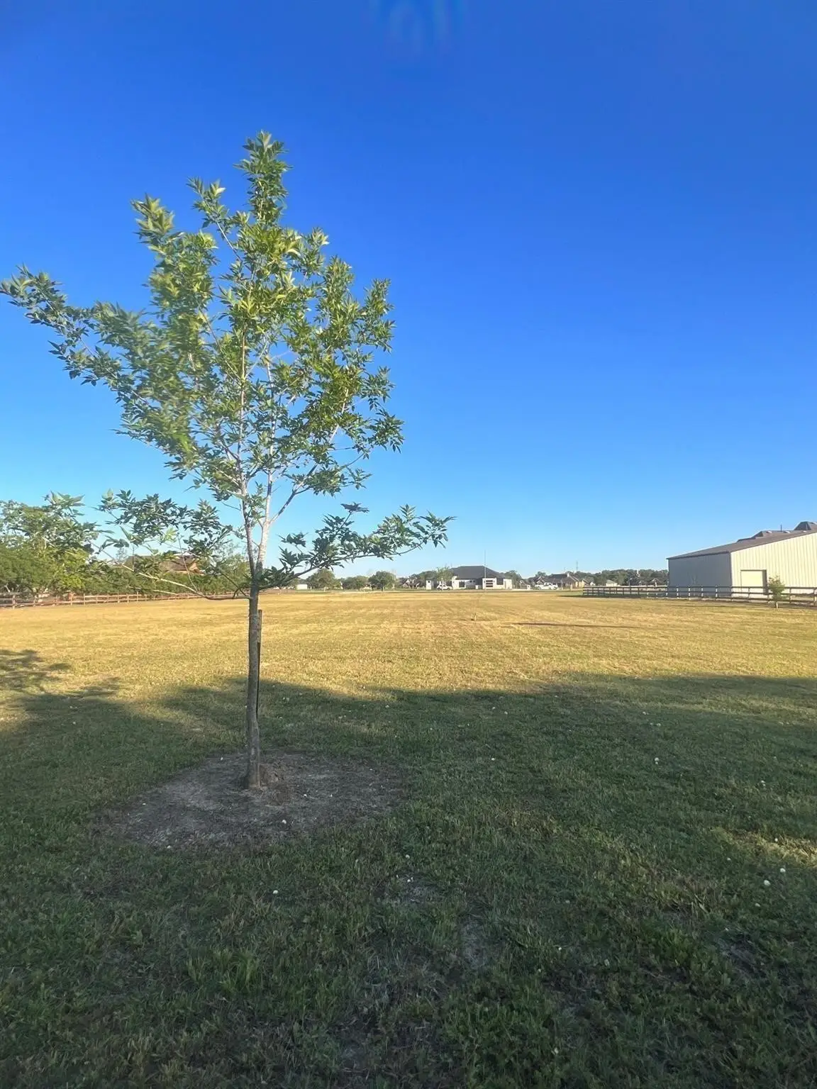 13702 Lakeview Meadow Drive, Richmond, TX 77469 - #1