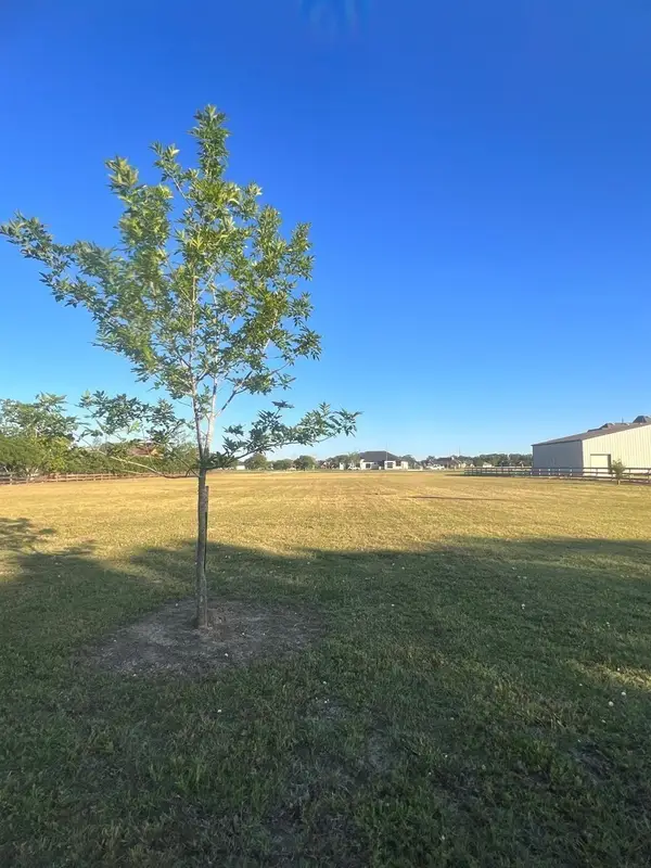 13702 Lakeview Meadow Drive, Richmond, TX 77469