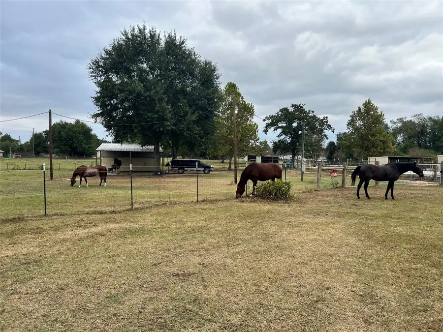 31807 Washington Street, Waller, TX 77484 - #3