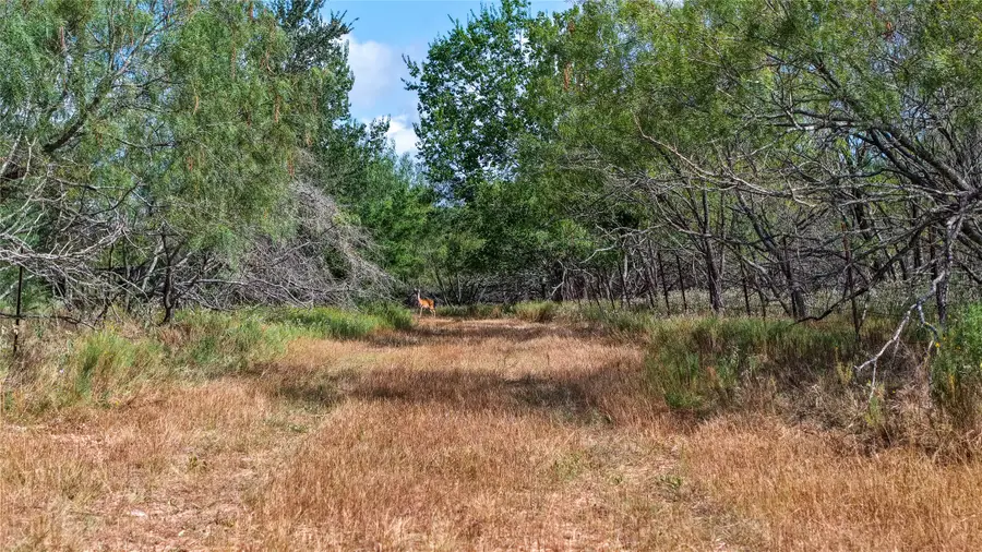 Tract 4 Tbd Mensik Rd, Bryan, TX 77808 - #3