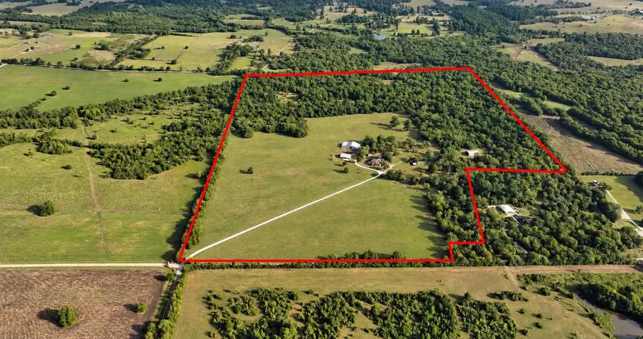 7396 County Road 204, Plantersville, TX 77363 - #2