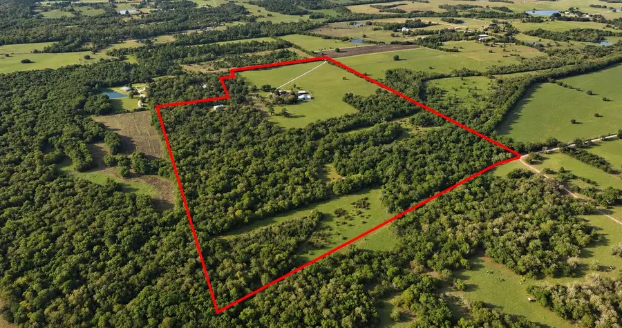 7396 County Road 204, Plantersville, TX 77363 - #3