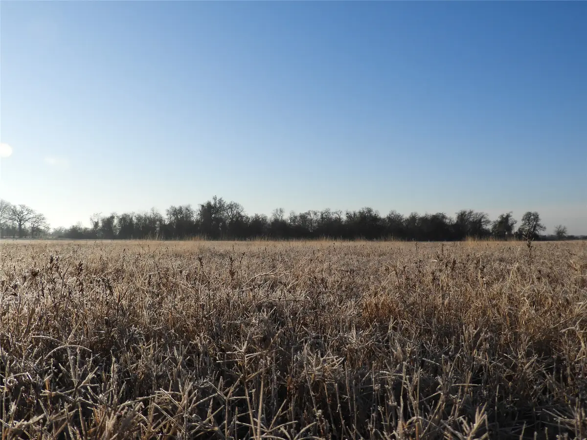 188 Highland Branch Drive Drive, Cameron, TX 76520 - #1