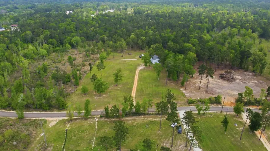 446 Hanson Road, Onalaska, TX 77360 - #3