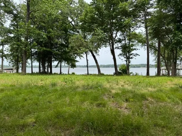 3150 Shadow Pine Drive, Larue, TX 75770 - Image #2