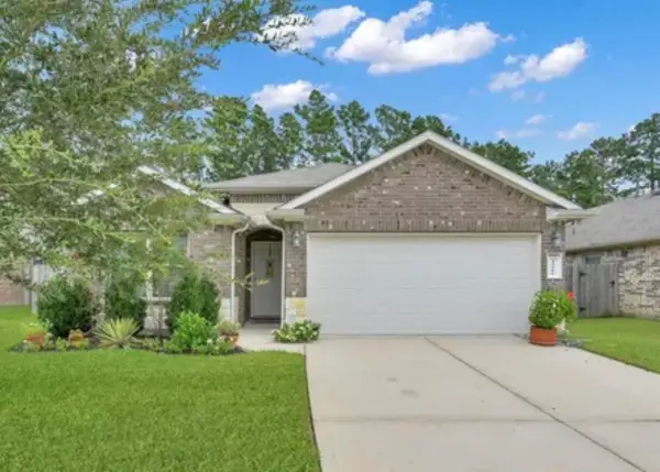 13966 Nicolet Arbor Lane, Conroe, TX 77384