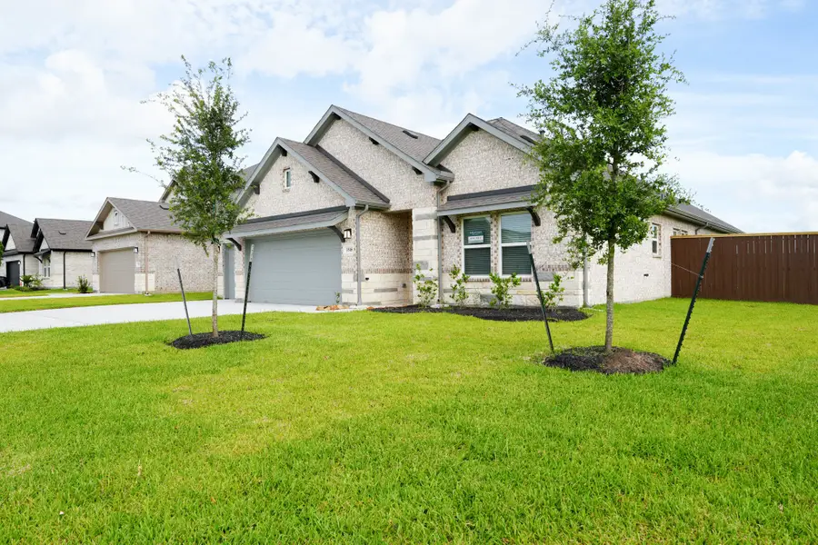 3518 Windmill Palm Drive, Manvel, TX 77578 - #2
