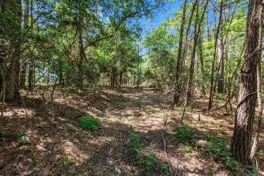 55 Paradise Drive, Coldspring, TX 77331 - #2