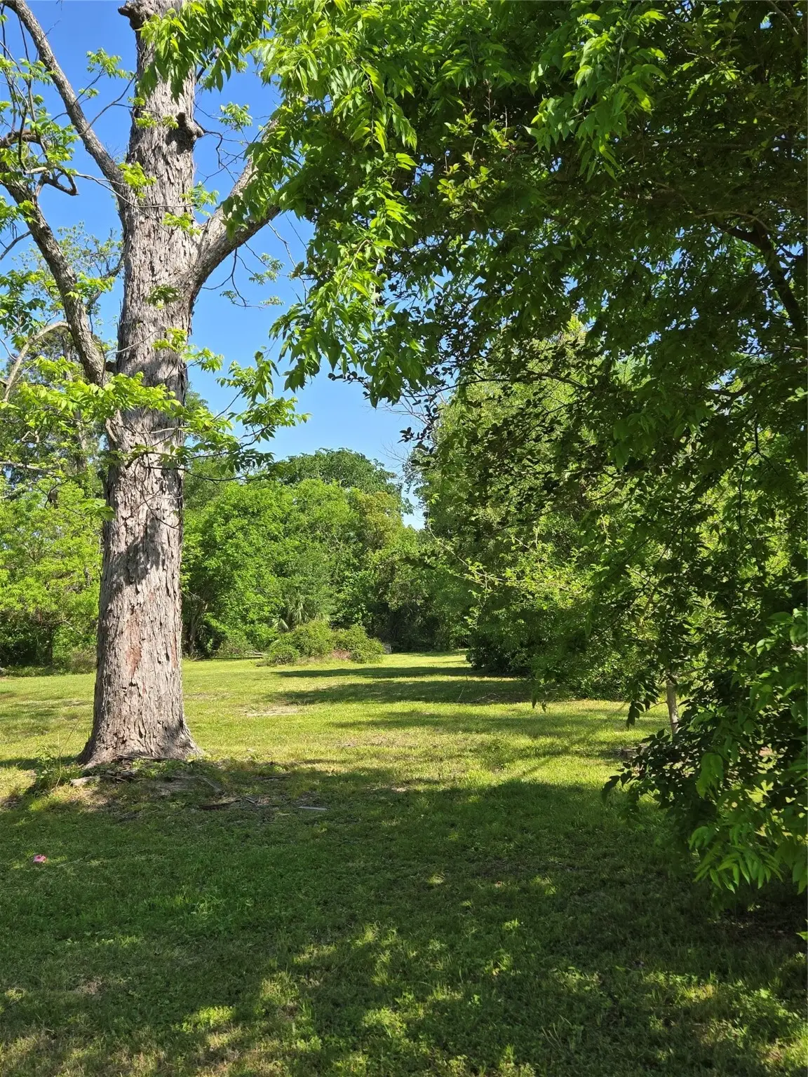 502 Del Norte Street, Houston, TX 77018 - Image #1