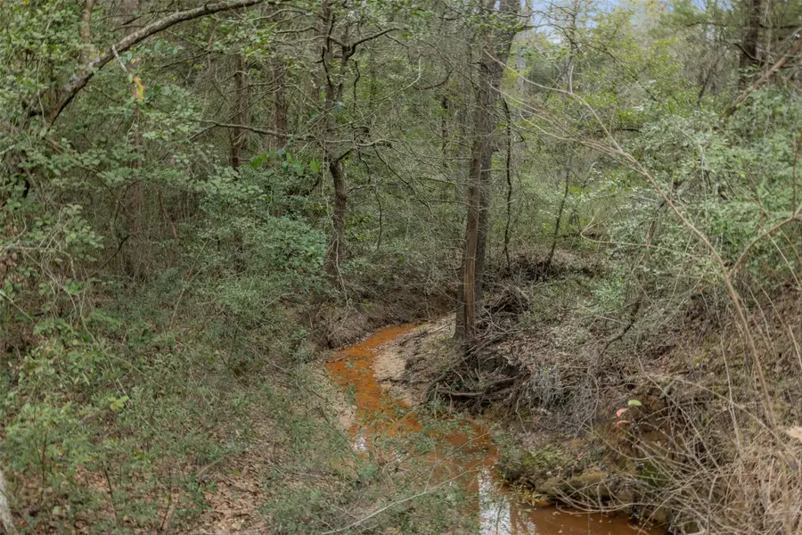 TBD Private Road 3891, Marquez, TX 77865 - Image #2