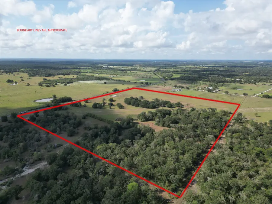 23373 Highway 30, Bedias, TX 77831 - #3
