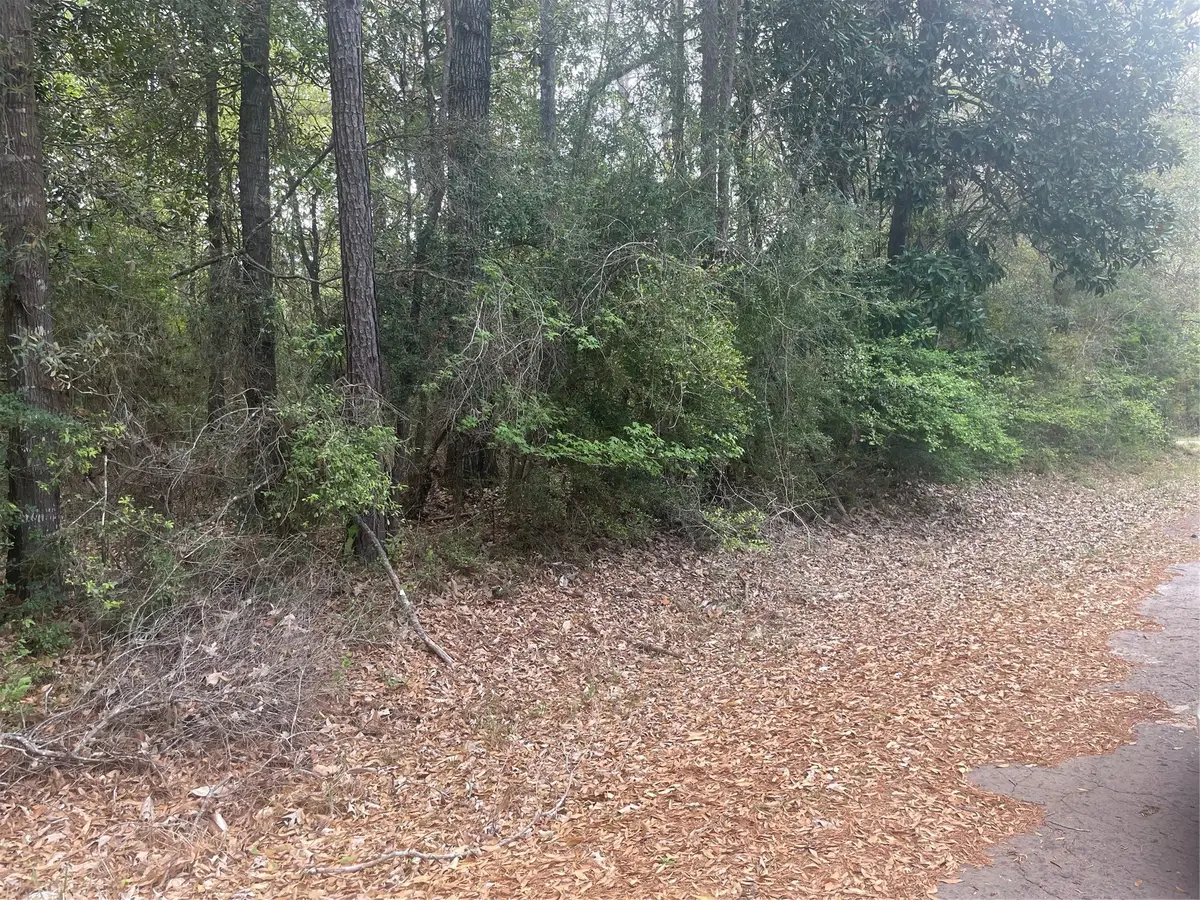LOT 8 Chestnut Circle, Village Mills, TX 77663 - #1