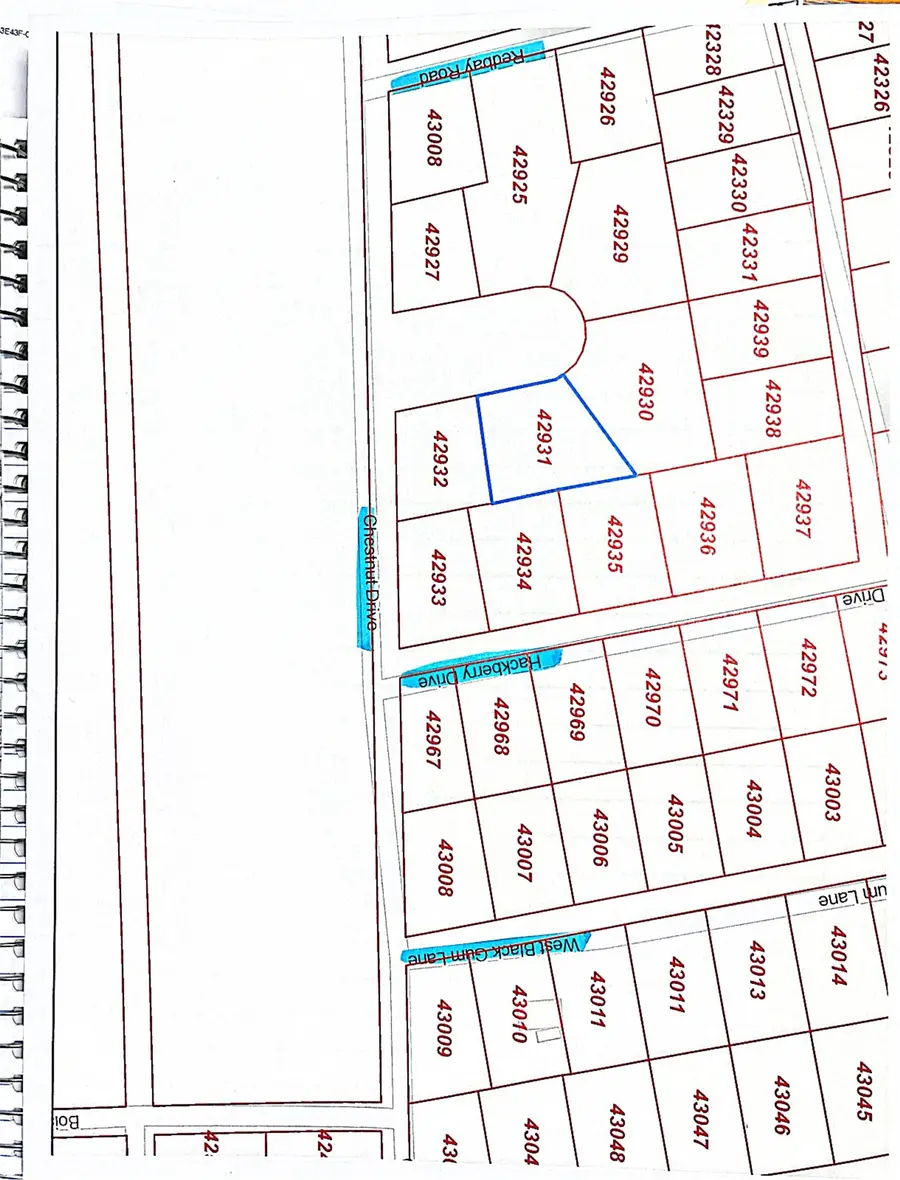 LOT 8 Chestnut Circle, Village Mills, TX 77663 - #2