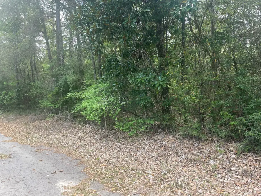 LOT 8 Chestnut Circle, Village Mills, TX 77663 - #3
