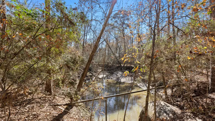 0000 Jack Frost, Onalaska, TX 77360 - Image #3