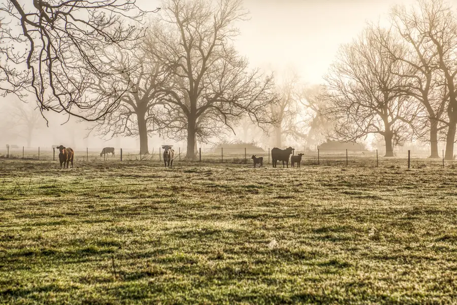 0000 Steck Bottom Road, Sealy, TX 77474 - #2