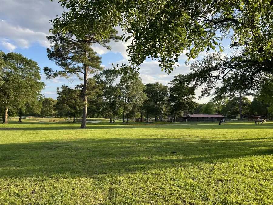 12494-725B Hill Creek Road, Montgomery, TX 77356 - #2