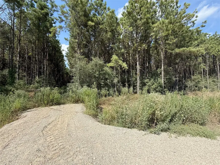 5700 Black Cat Road, Sour Lake, TX 77659 - #3