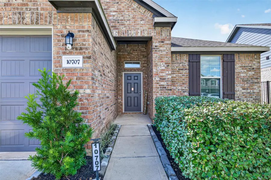 10707 Amador Peak Drive, Rosharon, TX 77583 - #3