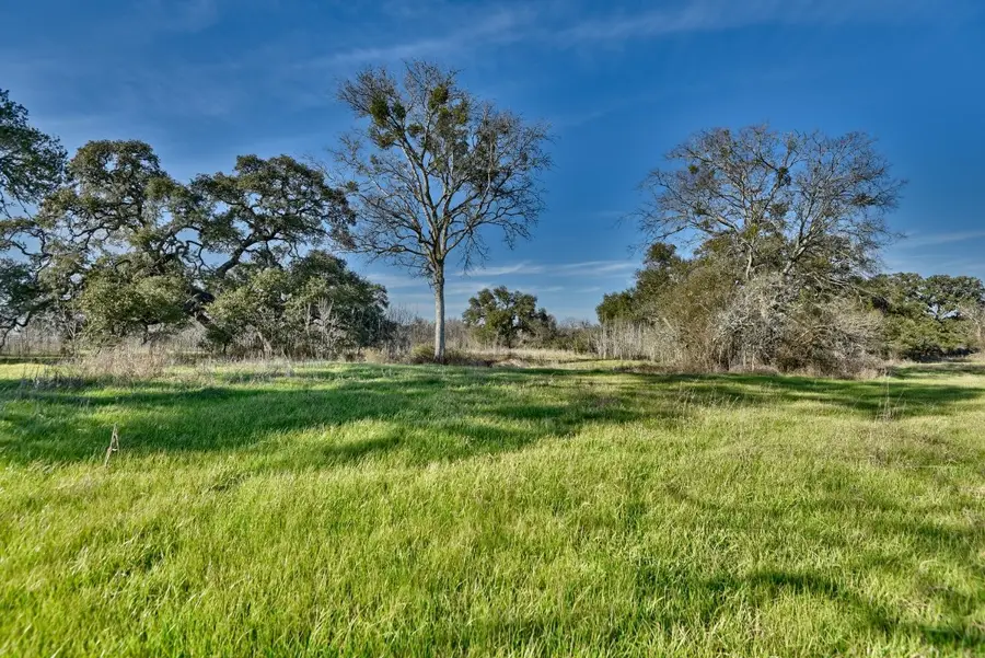 1855 Fm 1948 Views N, Burton, TX 77835 - #3