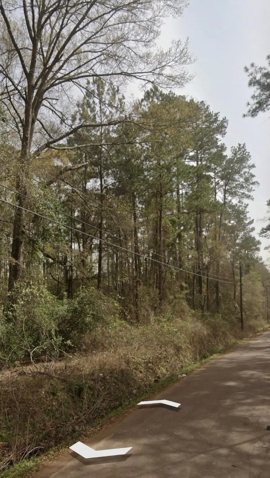 TBD Morris Rd, Diboll, TX 75941 - Image #2