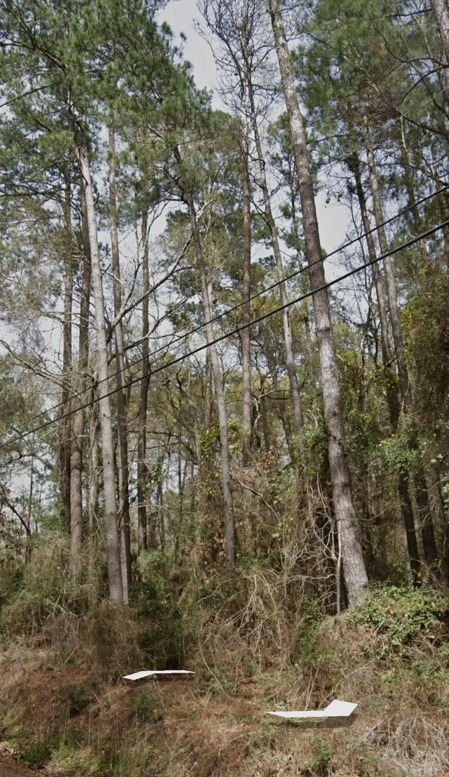 TBD Morris Rd, Diboll, TX 75941 - Image #3