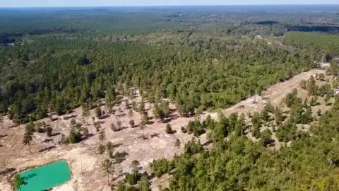 17224 Fm 943, Livingston, TX 77351 - #1