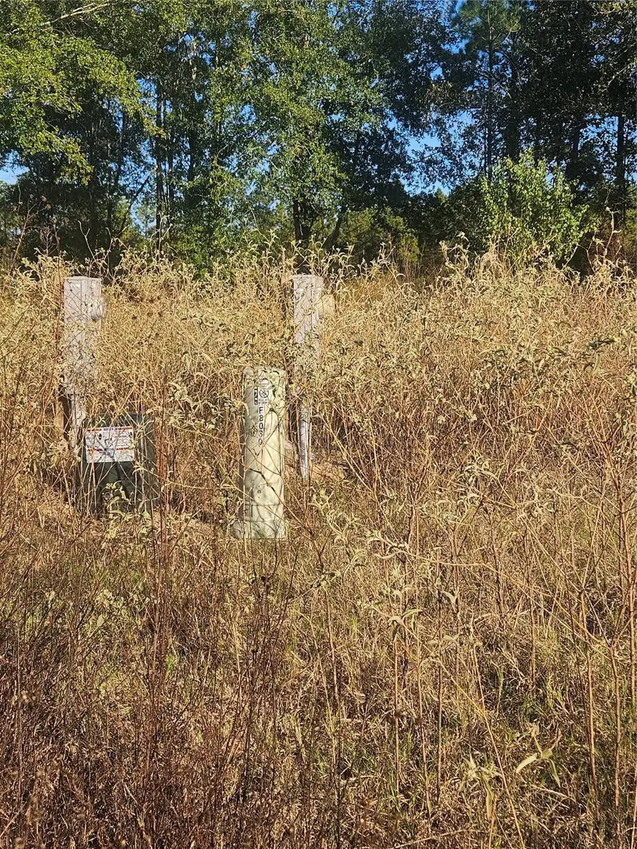 8030 Road 5891, Cleveland, TX 77327 - Image #2