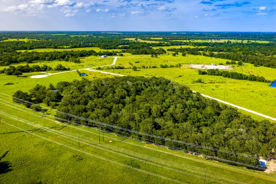 3636 Hidden Trail, North Zulch, TX 77872 - #2