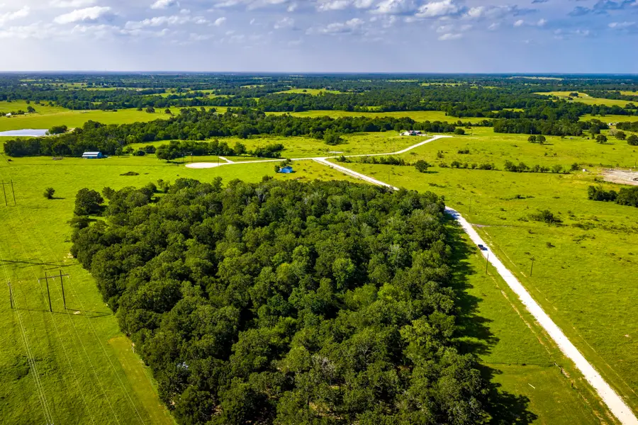 3636 Hidden Trail, North Zulch, TX 77872 - #3