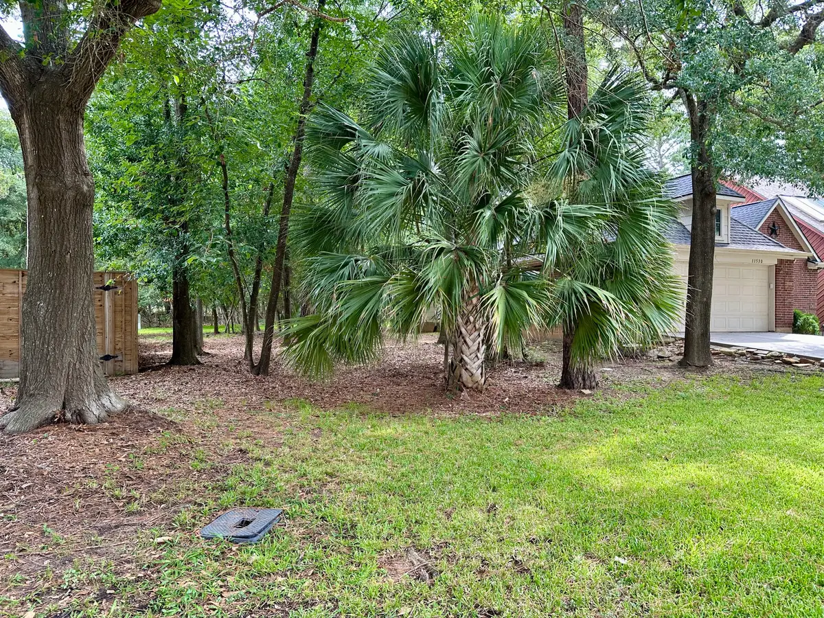 11534 Twain Drive, Montgomery, TX 77356 - #1