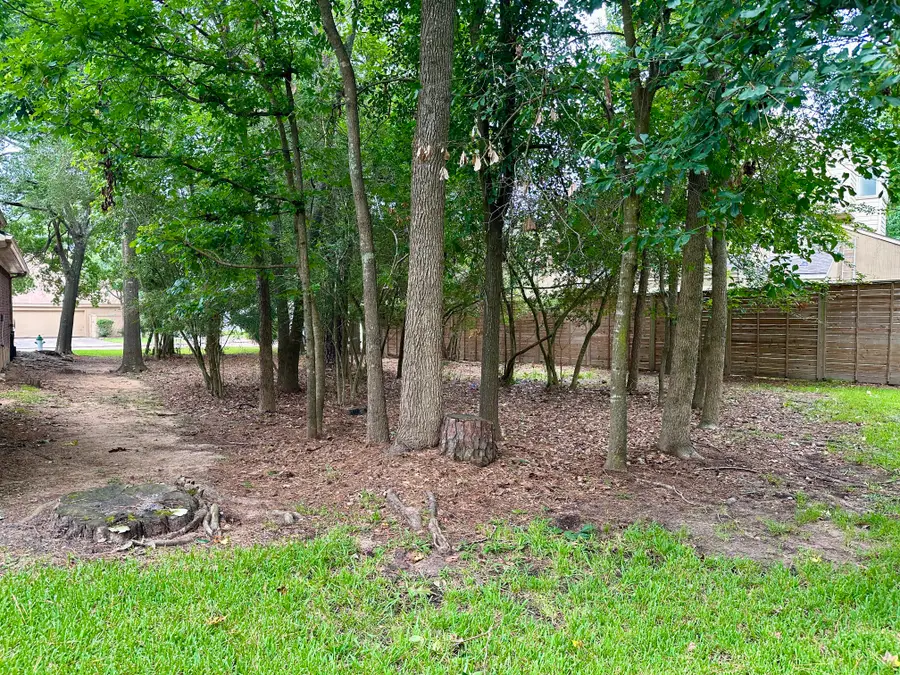 11534 Twain Drive, Montgomery, TX 77356 - #3