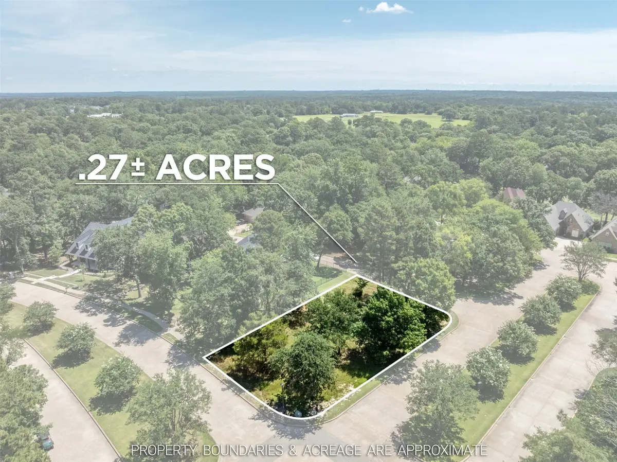137 Eagles Bluff Blvd S, Bullard, TX 75757 - #1