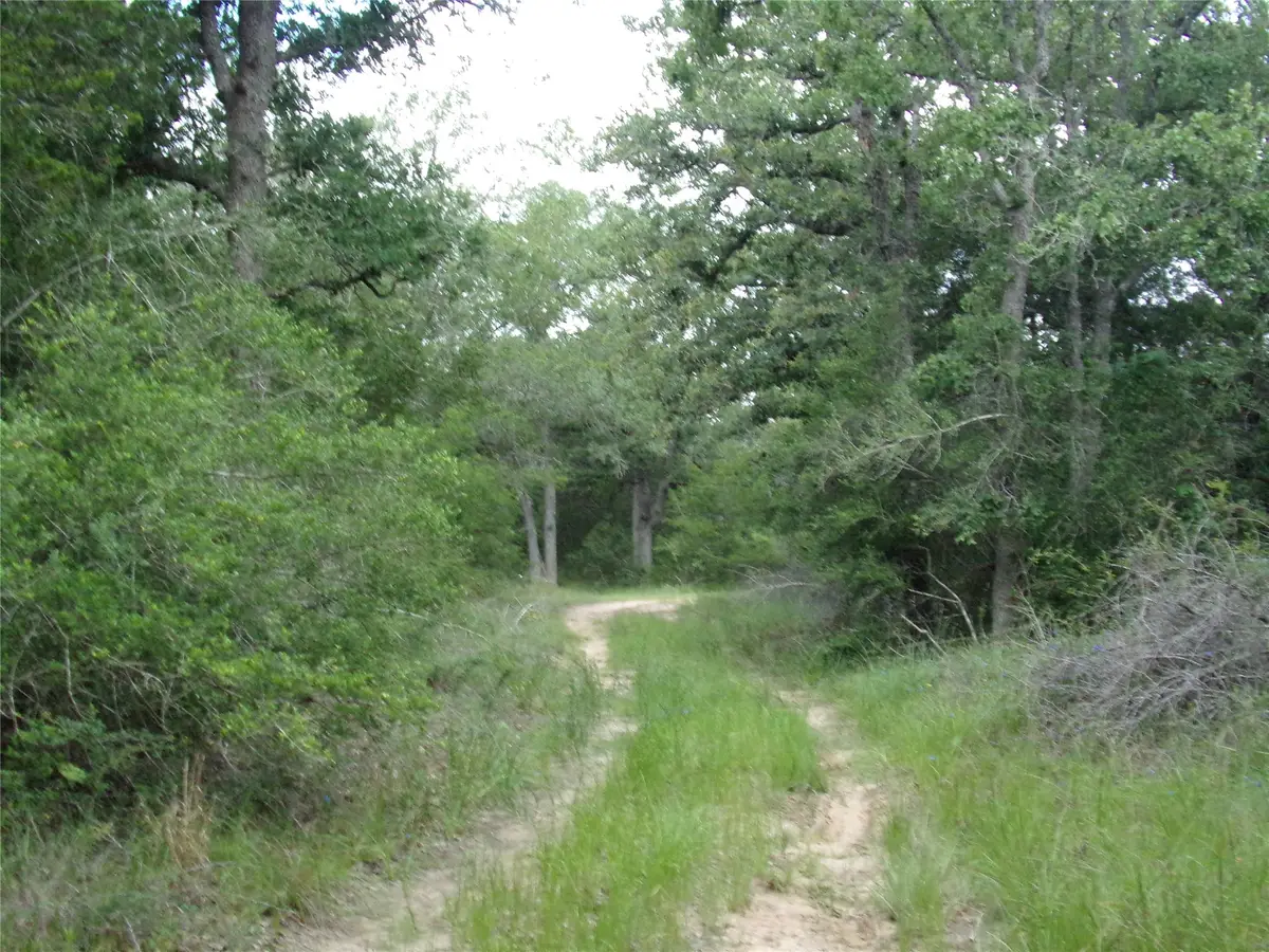 1588 Deer Hollow Road, Weimar, TX 78962 - #1