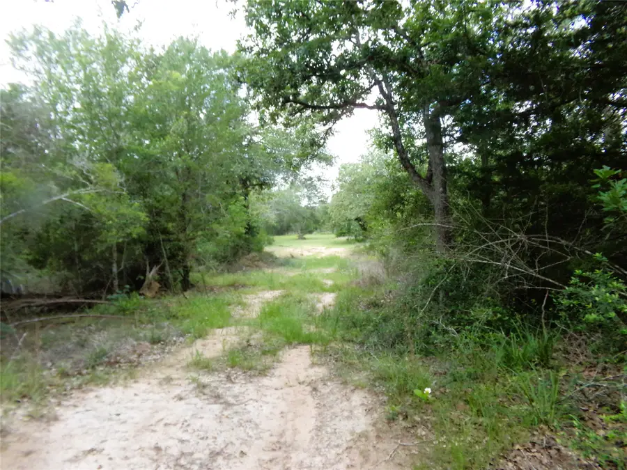 1588 Deer Hollow Road, Weimar, TX 78962 - #3